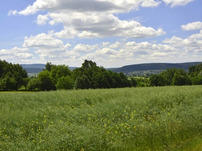 10300m2 szer. 48m w Górach Świętokrzyskich