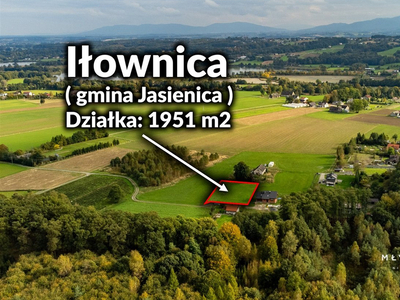 Bielski, Jasienica, Iłownica