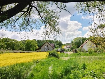 Działka budowlana na sprzedaż Kurów Mały