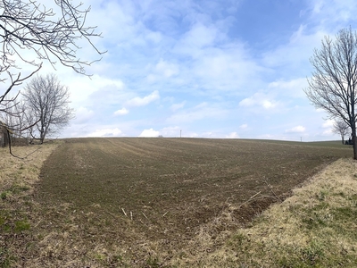Działka budowlano-rolna w gminie Gołcza.