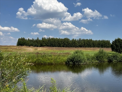 Działka na sprzedaż, Buski, Stopnica gm, Bosowice