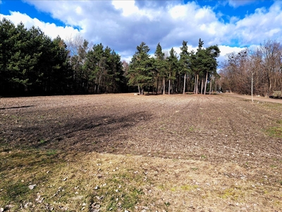 Działka na sprzedaż, Grodziski, Żabia Wola gm, Osowiec