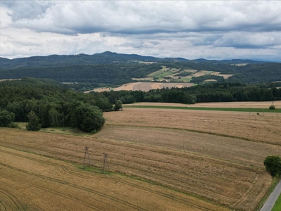 Działka na sprzedaż, Kłodzki, Kłodzko gm, Wojbórz