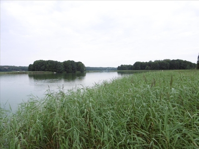 Działka na sprzedaż, Ostródzki, Pelnik