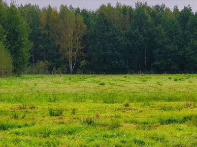 Działka na sprzedaż, Siedlecki, Albinów