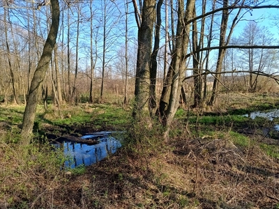 Działka na sprzedaż, Tomaszowski, Tomaszów Mazowiecki