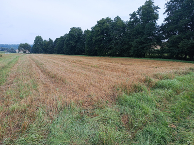 Działka rolna Bącz gm. Kartuzy - blisko jezioro