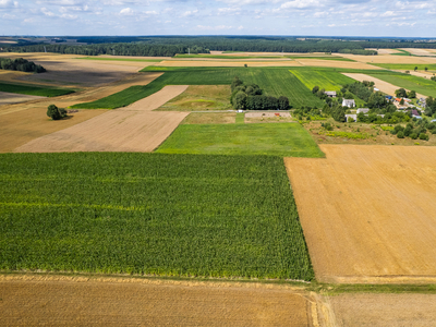 DZIAŁKI BUDOWLANE n/NARWIĄ -65000 !!!