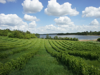 Działki nad jeziorem Szarek - ostatnia