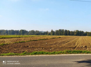 SPRZEDAM DZIAŁKĘ ROLNO - BUDOWLANĄ