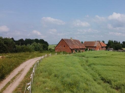 Działka rolna Radzieje gm. Węgorzewo, radzieje