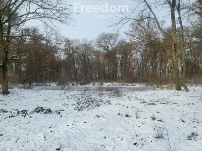 Pięknie położony, zabytkowy dworek z parkiem