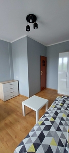 Wynajmę mieszkanie 24 m²