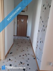 2 APARTAMENTY W CENIE JEDNEGO DUŻEGO MIESZKANIA + HALA GARAŻOWA 30m2 + 2 TARASY