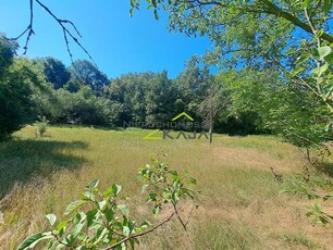 Dom blisko lasu, rzeki - Dobrzęcin