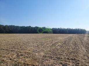 Działka budowlana Pojałowice gm. Miechów