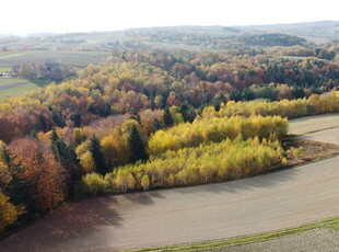 Działka rolna pod Inwestycje, rekreacje, kurs