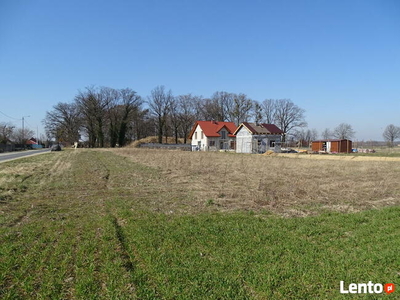 Działka budowlana - Pietrowice Małe koło Prusic