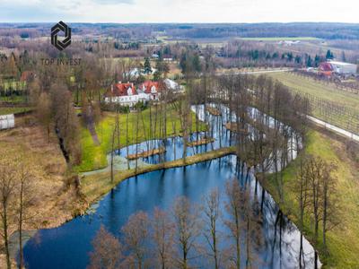 Lokal użytkowy Borowiec gm. Tarczyn, Złotopolska