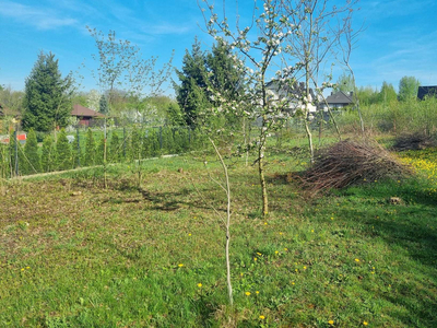 Dąbrowa Górnicza, Ząbkowice, Traktowa