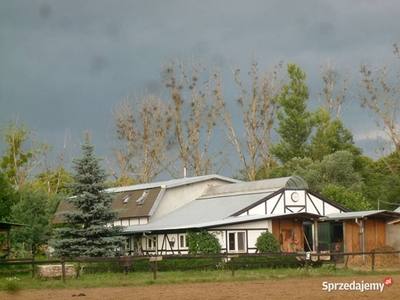 Dom ze stajniami(agroturystyka)Mazowieckie.40km od Wawa.