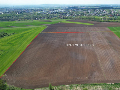 Działka 30420m2 Młodziejowice