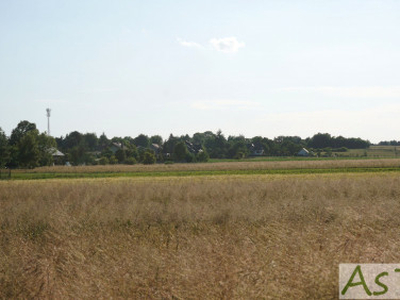 Lokal użytkowy Poskwitów