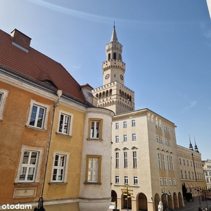 Mieszkanie po remoncie w centrum