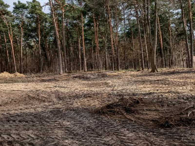 Działka budowlana Boruszowice