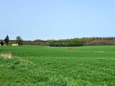 Działka budowlana Dziśnity