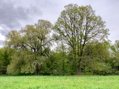 Działka budowlana Grodzisk Mazowiecki