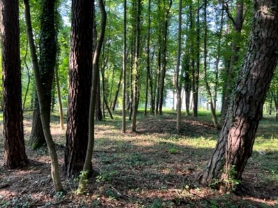 Działka budowlana Konstancin-Jeziorna