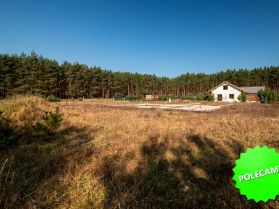 Działka budowlana Kuźnica Głogowska