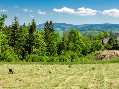 Działka budowlana Mszana Dolna