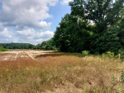 Działka budowlana Ożarowice