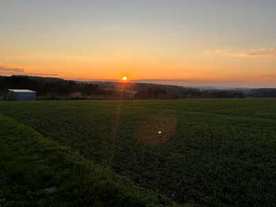 Działka budowlana, ul. Jastrzębia