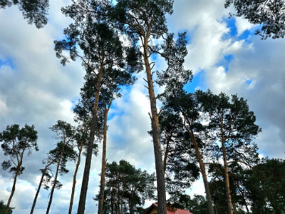 Działka budowlana Włodzimierzów