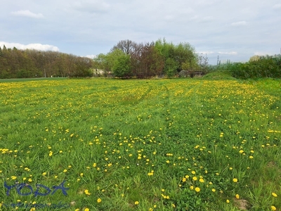 Działka inna Orzesze