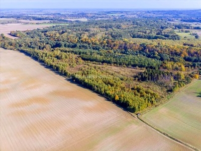 Działka Kleszczewo