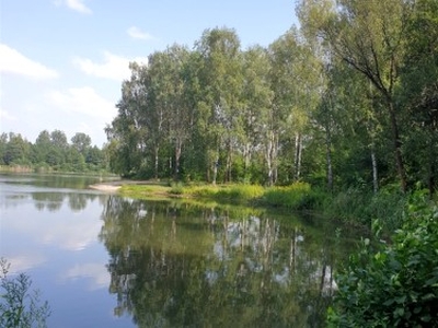 Działka leśna Biestrzynnik