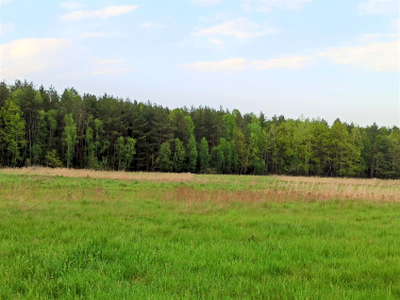 Działka rekreacyjna Jaroszówka