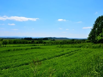 Działka rolna Czułów