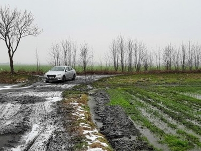 Działka rolna Karwiany