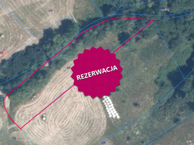 Działka rolna Młodów