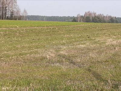 Działka rolno-budowlana Olszyc Szlachecki