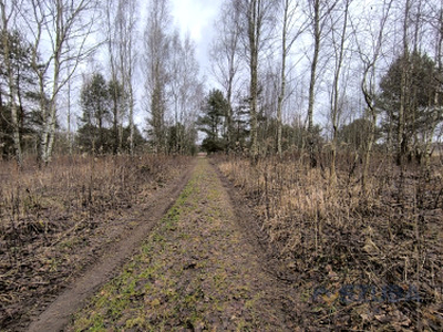 Działka rolna, ul. Trakt Królewski