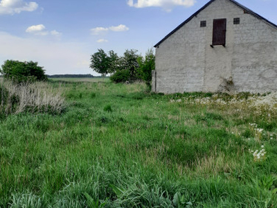 Działka rolno-budowlana Brzeźno Stare