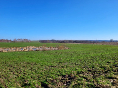 Działka rolno-budowlana Cerkiewnik