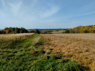 Działka rolno-budowlana Cisów