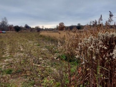 Działka rolno-budowlana Malinowice